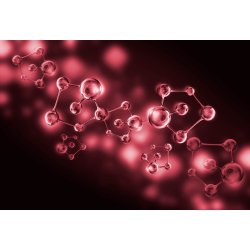 Reconstructive Youth Serum